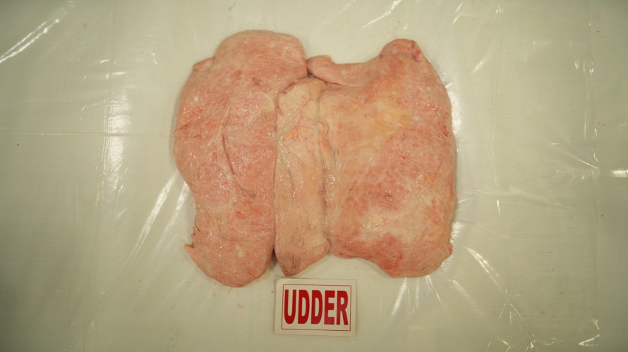 Udder