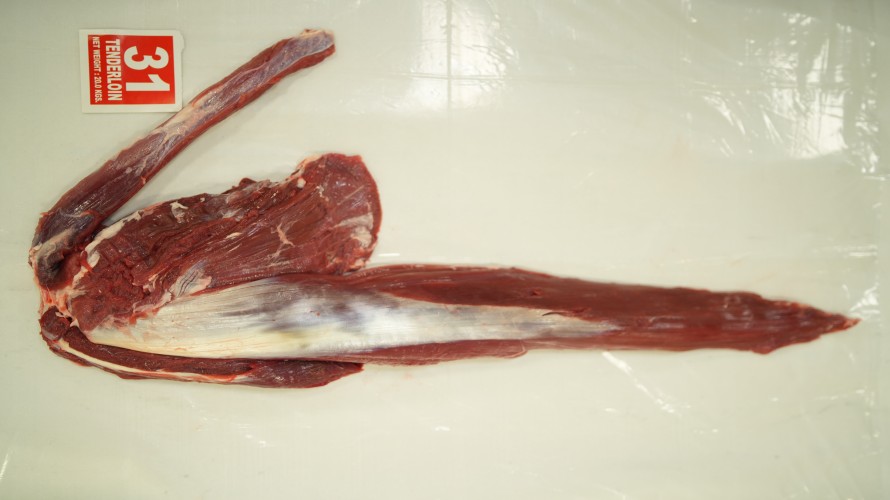 Tenderloin